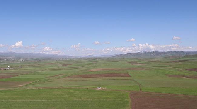  ERZURUM, AĞRI ve ERZİNCAN'DA TOPLULAŞTIRMA ÇALIŞMALARI DEVAM EDİYOR