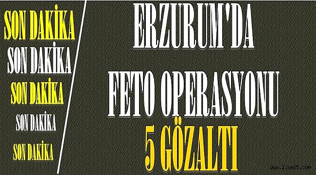 Erzurum'da FETÖ/PYD operasyonu: 5 gözaltı