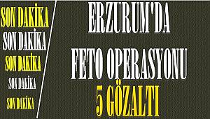 Erzurum'da FETÖ/PYD operasyonu: 5 gözaltı