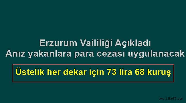 Erzurum'da Anız yakanlara para cezası uygulanacak