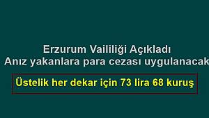 Erzurum'da Anız yakanlara para cezası uygulanacak