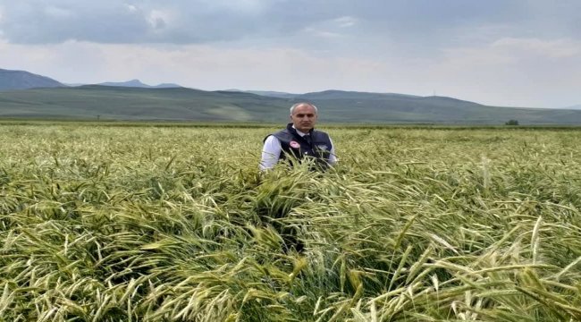 Sertifikalı tohumda 1 yılda yüzde 40'lık artış