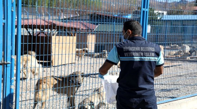 Hayvan Bakım Evi kışa hazır