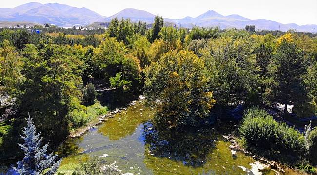 Erzurum sonbaharın renklerine büründü