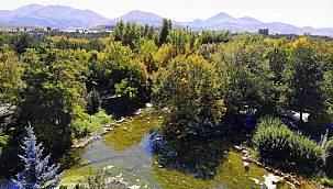 Erzurum sonbaharın renklerine büründü