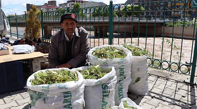 Çaşır'ın kilosu 40 liradan satılıyor