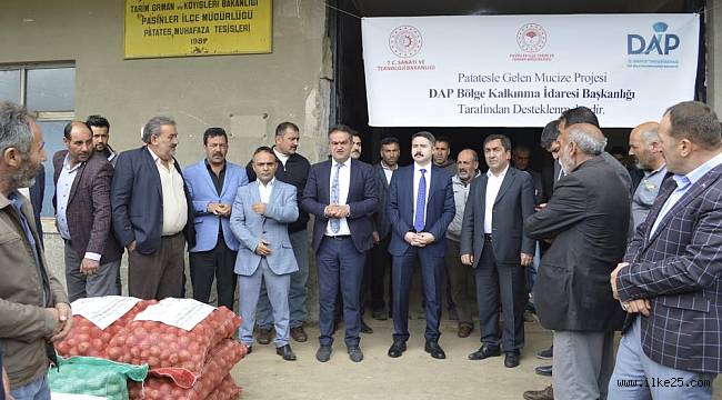 Pasinler'de 75 ton patates tohumu dağıtıldı