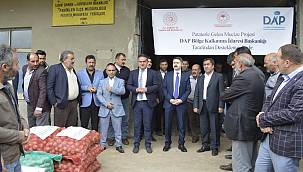 Pasinler'de 75 ton patates tohumu dağıtıldı