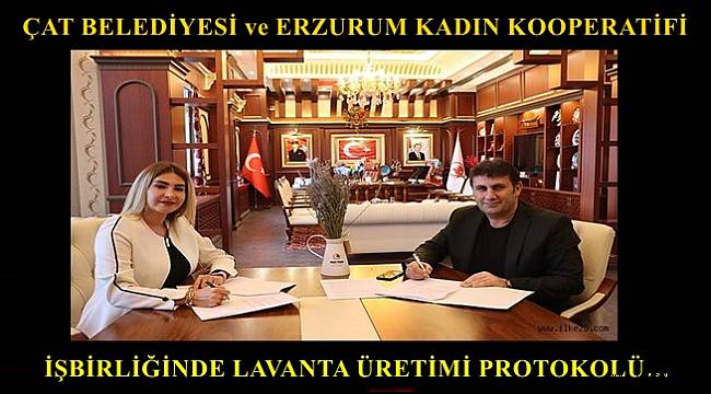 ÇAT BELEDİYESİ ve ERZURUM KADIN KOOPERATİFİ İŞBİRLİĞİNDE LAVANTA ÜRETİMİ PROTOKOLÜ…