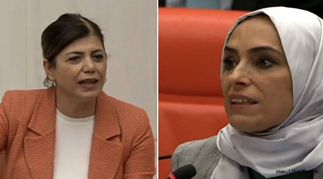 HDP'li Beştaş Mecliste İddia Etti, Zehra Taşkesenlioğlu Cevap Verdi