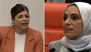 HDP'li Beştaş Mecliste İddia Etti, Zehra Taşkesenlioğlu Cevap Verdi