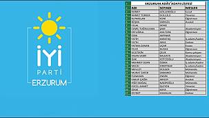 İyi Parti Erzurum Aday Adayları Netleşti