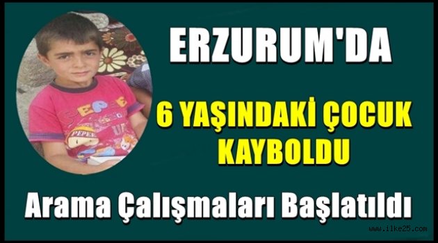 Aşkale'de 6 Yaşındaki Çocuk Kayoldu