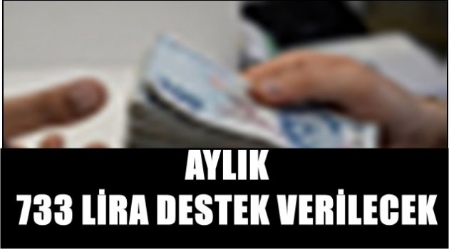 AYLIK  733 LİRA DESTEK VERİLECEK