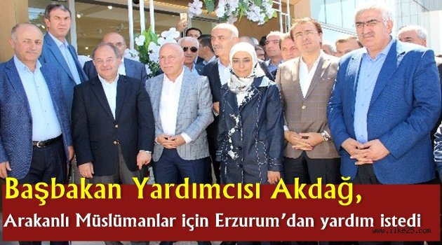Başbakan Yardımcısı Akdağ, Arakanlı Müslümanlar için Erzurum'dan yardım istedi