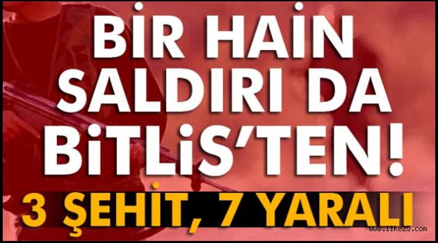 Bir hain saldırı da Bitlis'ten