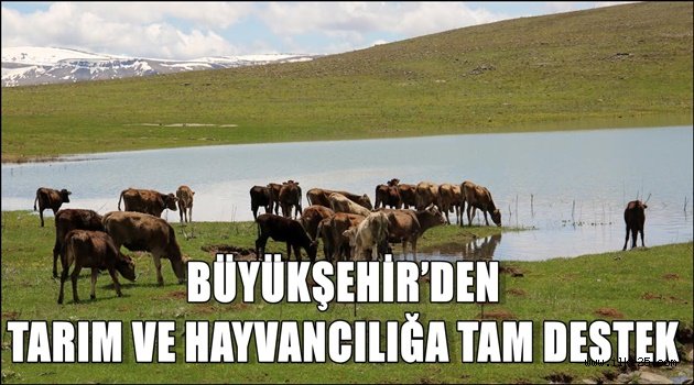 BÜYÜKŞEHİR'DEN TARIM VE HAYVANCILIĞA TAM DESTEK