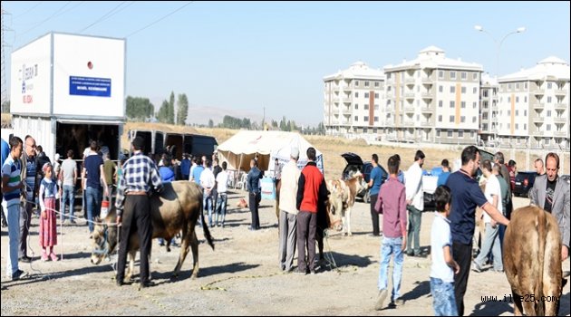 BÜYÜKŞEHİR KURBAN BAYRAMI'NA HAZIR