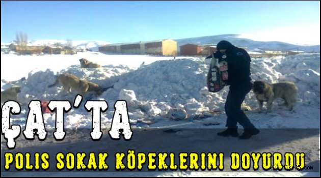 Çat'ta Polis Sokak Köpeklerini Doyurdu