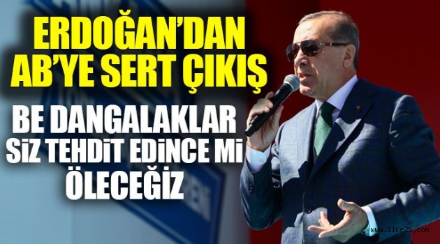 Cumhurbaşkanı Erdoğan'dan AB'ye: Be dangalaklar