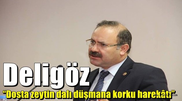 Deligöz "Dosta zeytin dalı düşmana korku harekâtı"