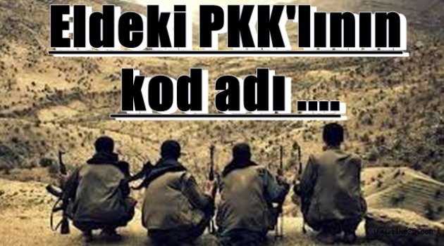 Eldeki PKK'lının kod adı Serhat Karayazı'ymış