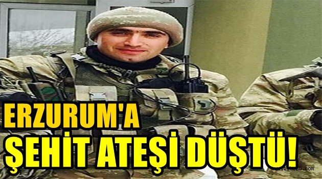 Erzurum'a şehit ateşi düştü