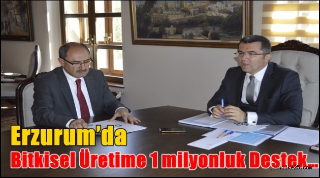 Erzurum'da bitkisel üretime 1 milyonluk destek…