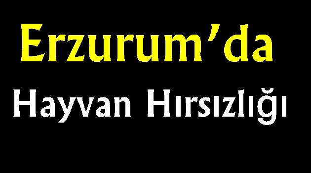 Erzurum'da hayvan hırsızlığı