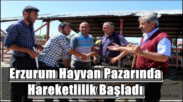 Erzurum Hayvan Pazarında hareketlilik başladı