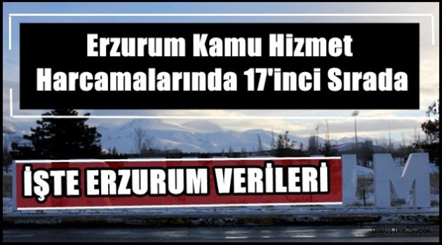 Erzurum Kamu Hizmet Harcamalarında 17'inci Sırada