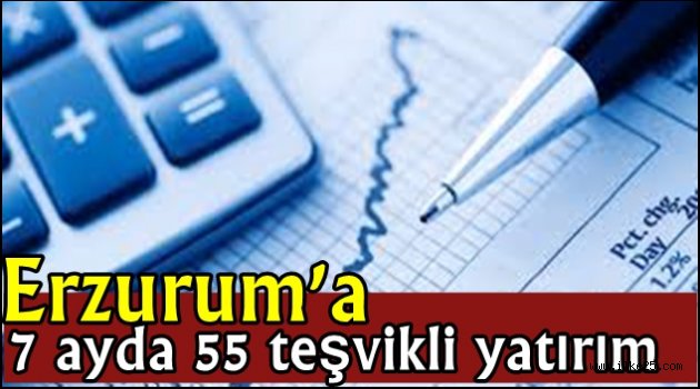 Erzurum'a 7 ayda 55 teşvikli yatırım