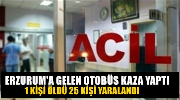 Erzurum'a Gelen Otobüs Devrildi!