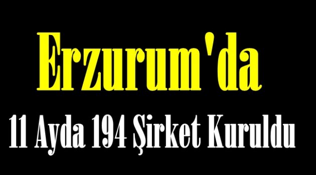 Erzurum'da 11 Ayda 194 Şirket Kuruldu