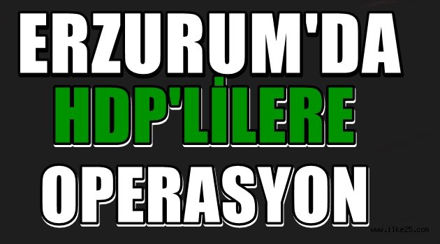 Erzurum'da 16 Hdp'li Gözaltına Alındı