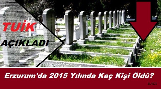 Erzurum'da 2015 Yılında Kaç Kişi Öldü?