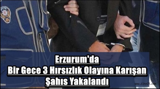 Erzurum'da Bir Gece 3 Hırsızlık Olayına Karışan Şahıs Yakalandı