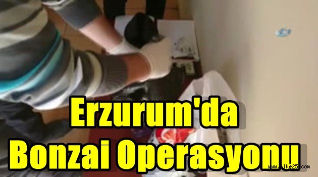 Erzurum'da Bonzai Operasyonu