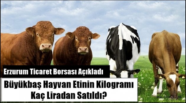 Erzurum'da Büyükbaş Hayvan Eti Kaça Satıldı?