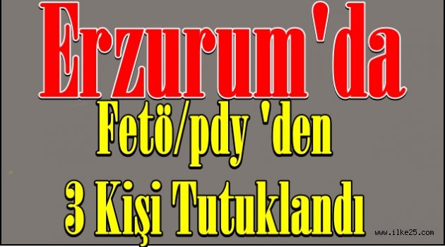 Erzurum'da Fetö/pdy 'den  3 Kişi Tutuklandı