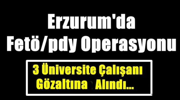 Erzurum'da Fetö/pdy Operasyonu.3 Kişi Gözaltına Alındı