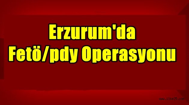 Erzurum'da Fetö/pdy Operasyonu