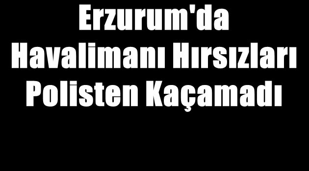 Erzurum'da Havalimanı Hırsızları Polisten Kaçamadı