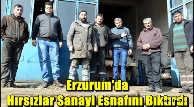 Erzurum'da Hırsızlar Sanayi Esnafını Bıktırdı