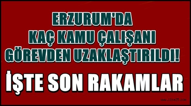 Erzurum'da Kaç Kamu Çalışanı Görevden Uzaklaştırıldı?