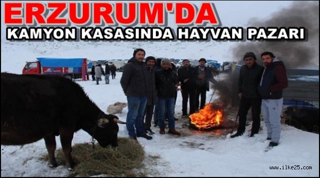 ERZURUM'DA KAMYON KASASINDA HAYVAN PAZARI...