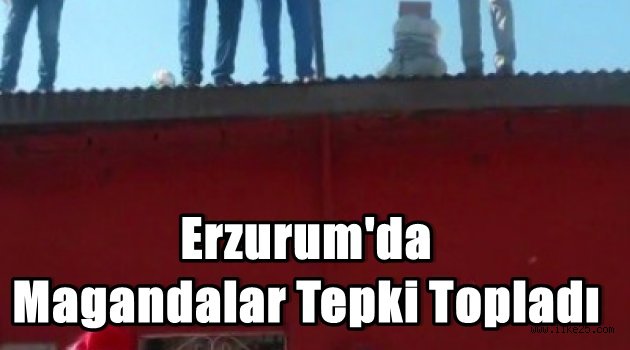 Erzurum'da Magandalar Tepki Topladı