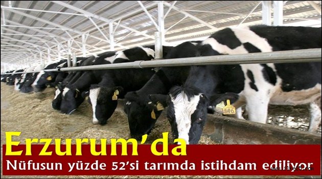 Erzurum'da nüfusun yüzde 52'si tarımda istihdam ediliyor