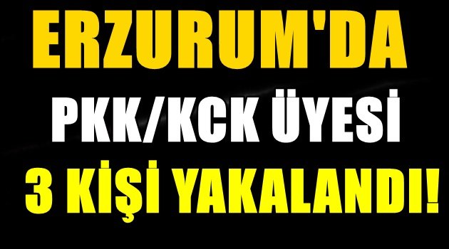 Erzurum'da Pkk/Kck Üyesi 3 Kişi Yakalandı