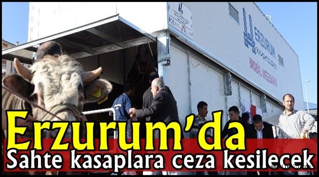 Erzurum'da Sahte kasaplara ceza kesilecek